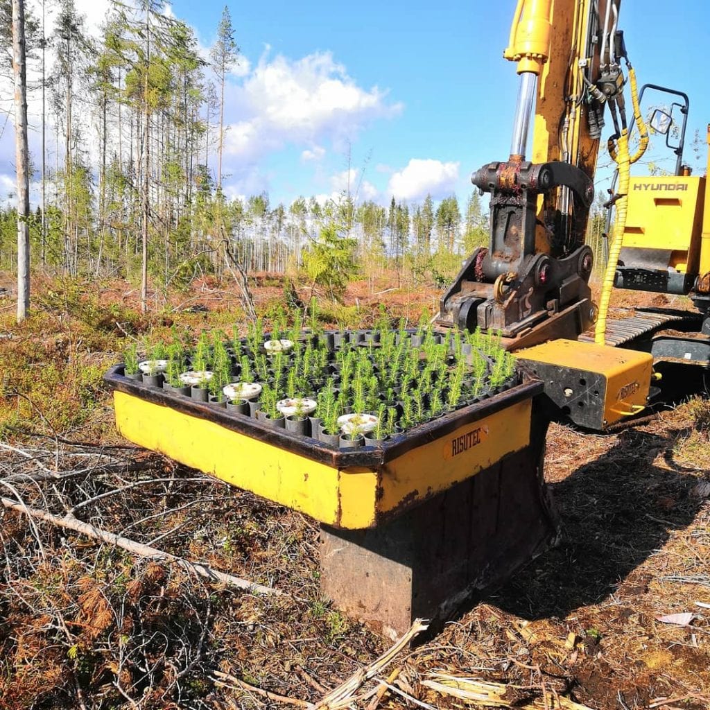 planting for the future